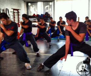 Pratica de Forma de Kung Fu Choy Lee Fut Chan Family Pratica de Forma de Kung Fu Choy Lee Fut Chan Family