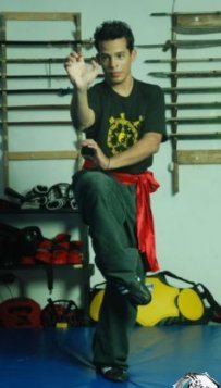 Postura de Kung Fu Choy Lee Fut