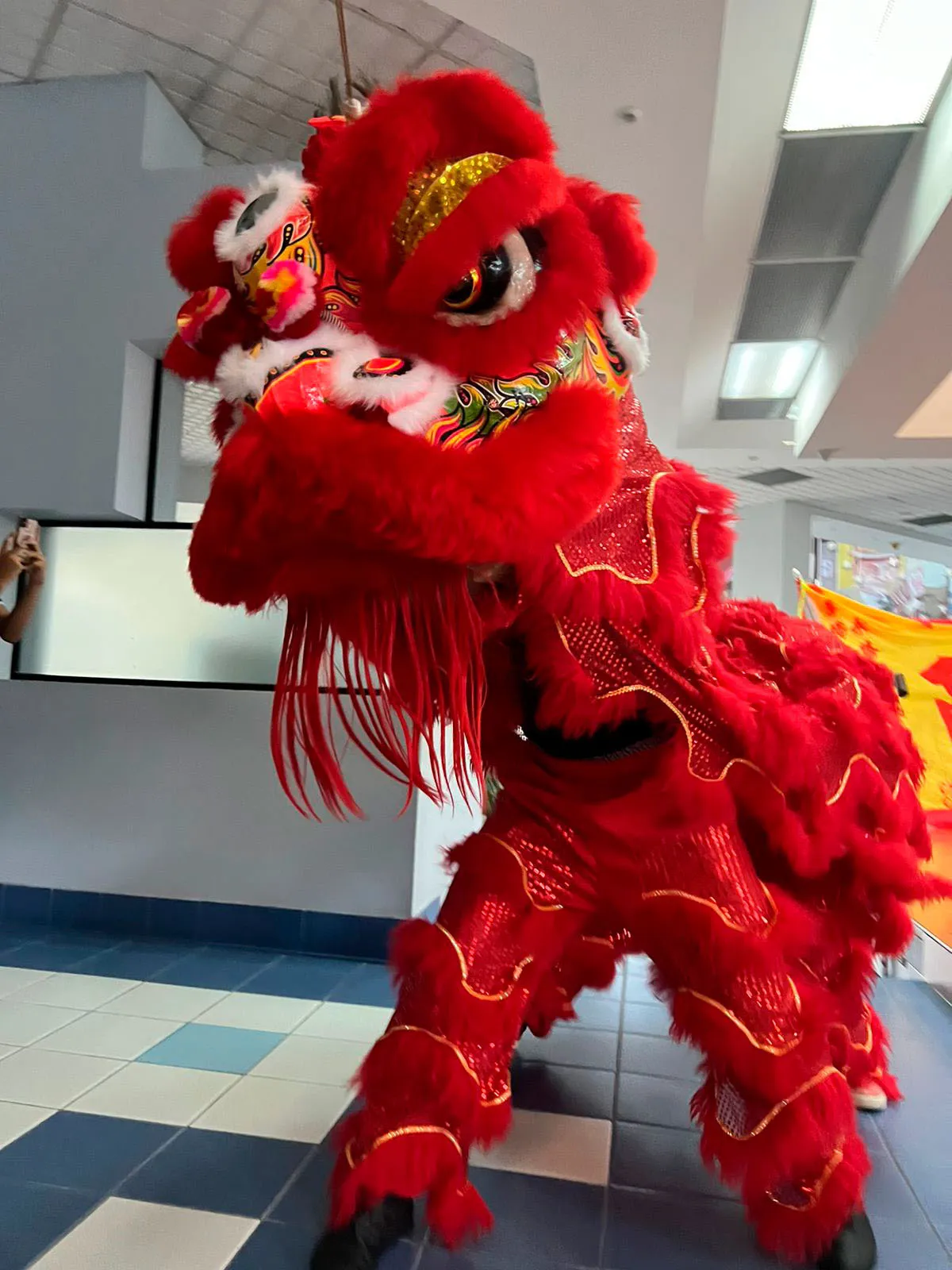 León rojo en movimiento durante la ceremonia de bautizo, Escuela Choy Lee Fut Costa Rica