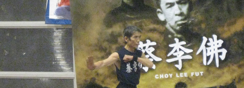 Gran Maestro Chen Yong Fa - 2009